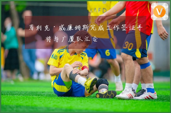 马利克·威廉姆斯完成工作签证手续 将与广厦队汇合