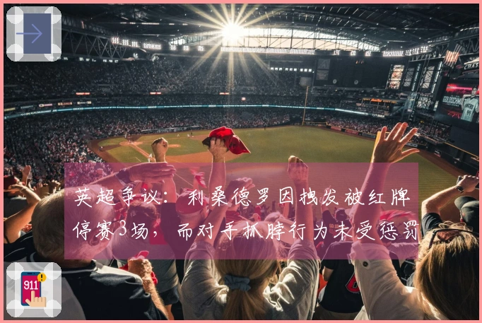 英超争议：利桑德罗因拽发被红牌停赛3场，而对手抓脖行为未受惩罚